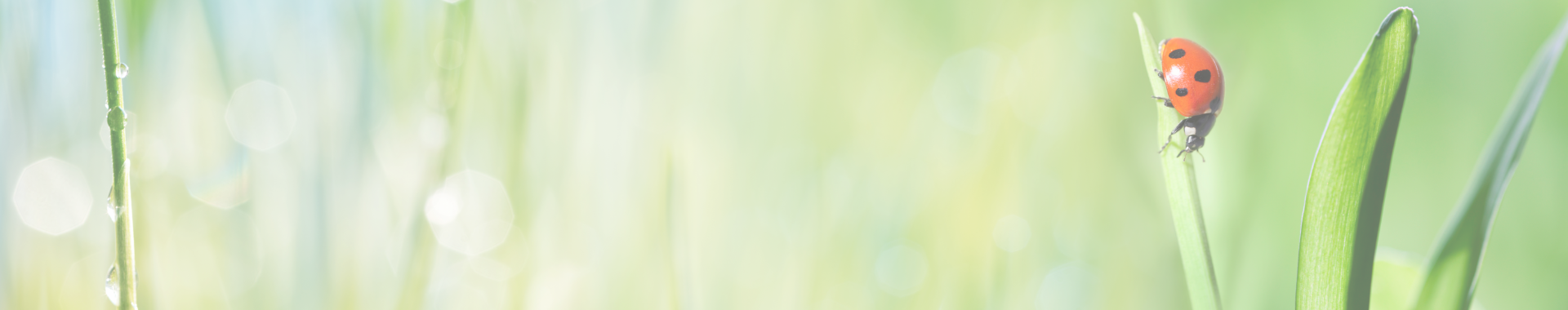Portefeuilles de placements MD Responsable